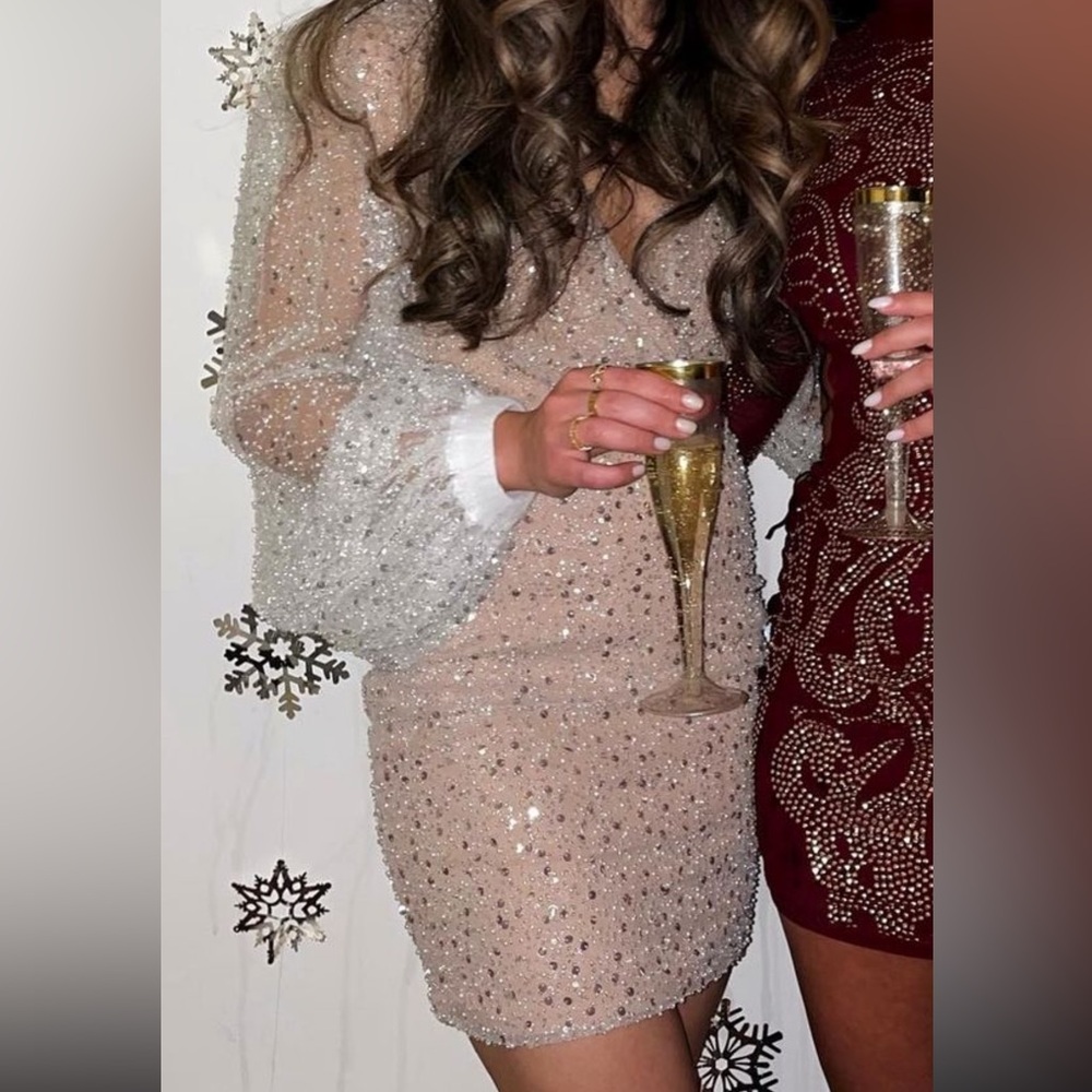Nadine Merabi Maya dress; PERFECT holiday or bridal dress worn once